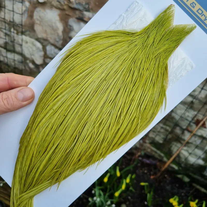 Whiting High and Dry Rooster Cape in Olive-3